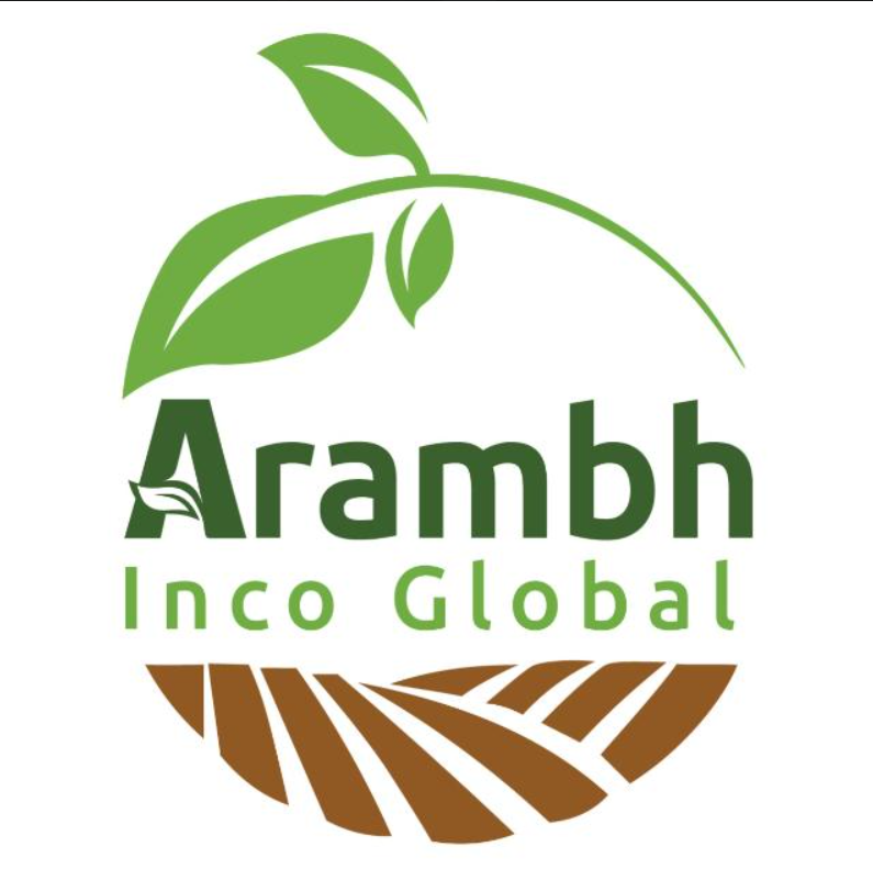 Arambh Inco Global logo
