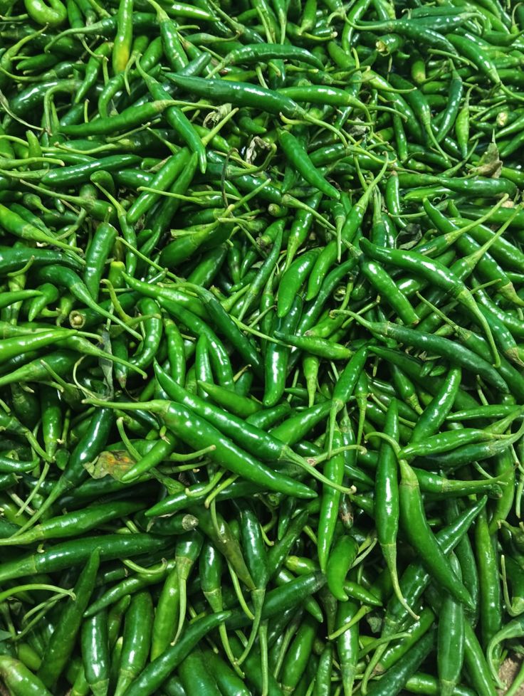 Fresh green chilli