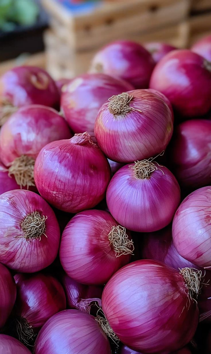 Fresh red onion